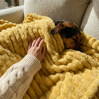 Emotional Support Blanket™